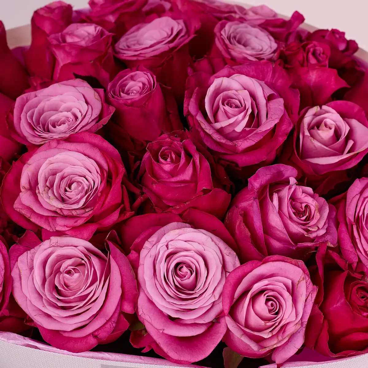 Букет 27 Роз Принц Персии купить недорого в Украине, фото 3