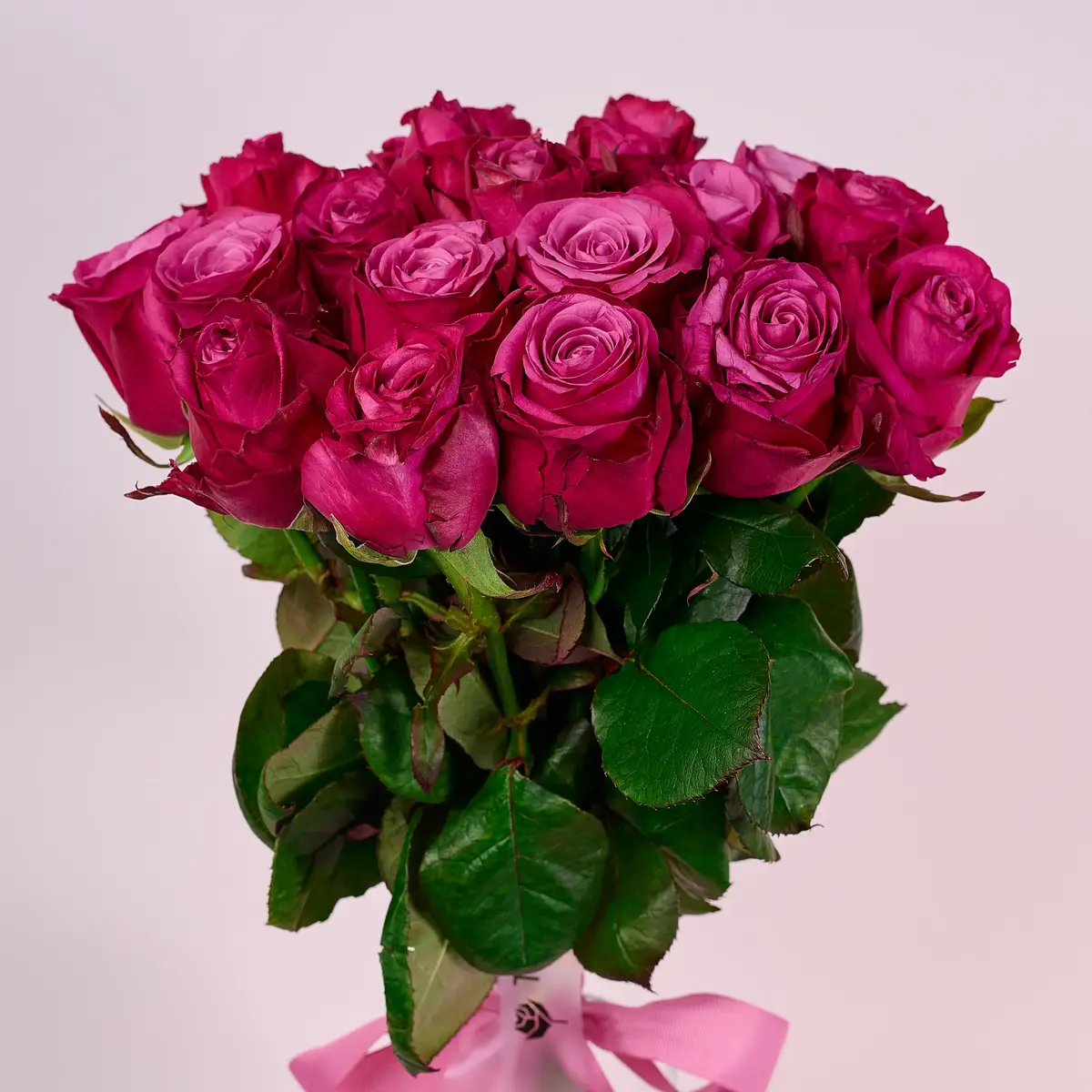 Букет 19 Роз Принц Персии купить недорого в Украине, фото 2