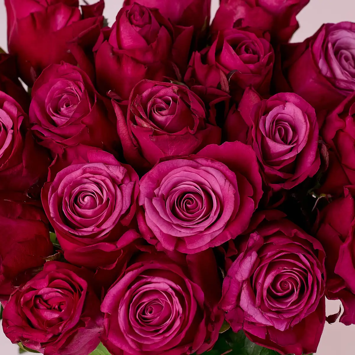 Букет 19 Роз Принц Персии купить недорого в Украине, фото 3