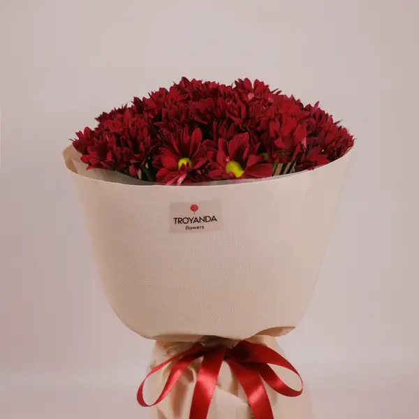 Букет 9 красных хризантем ромашка купить