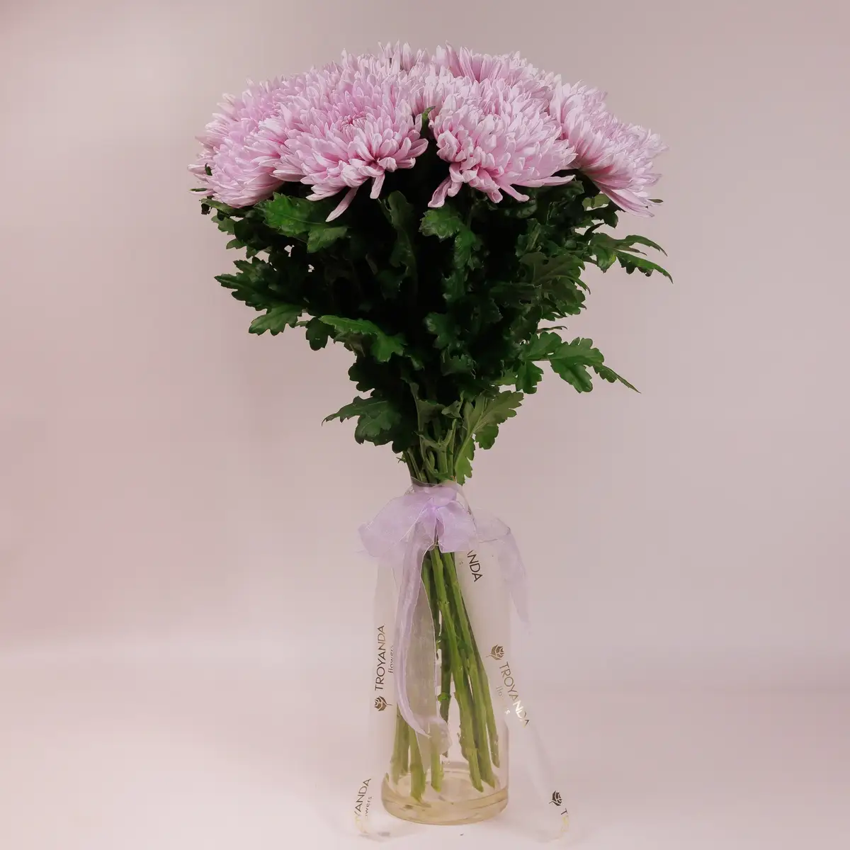 Букет 15 однобутонных розовых хризантем. купить