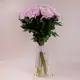 Букет 15 однобутонных розовых хризантем. купить недорого в Украине, фото 557