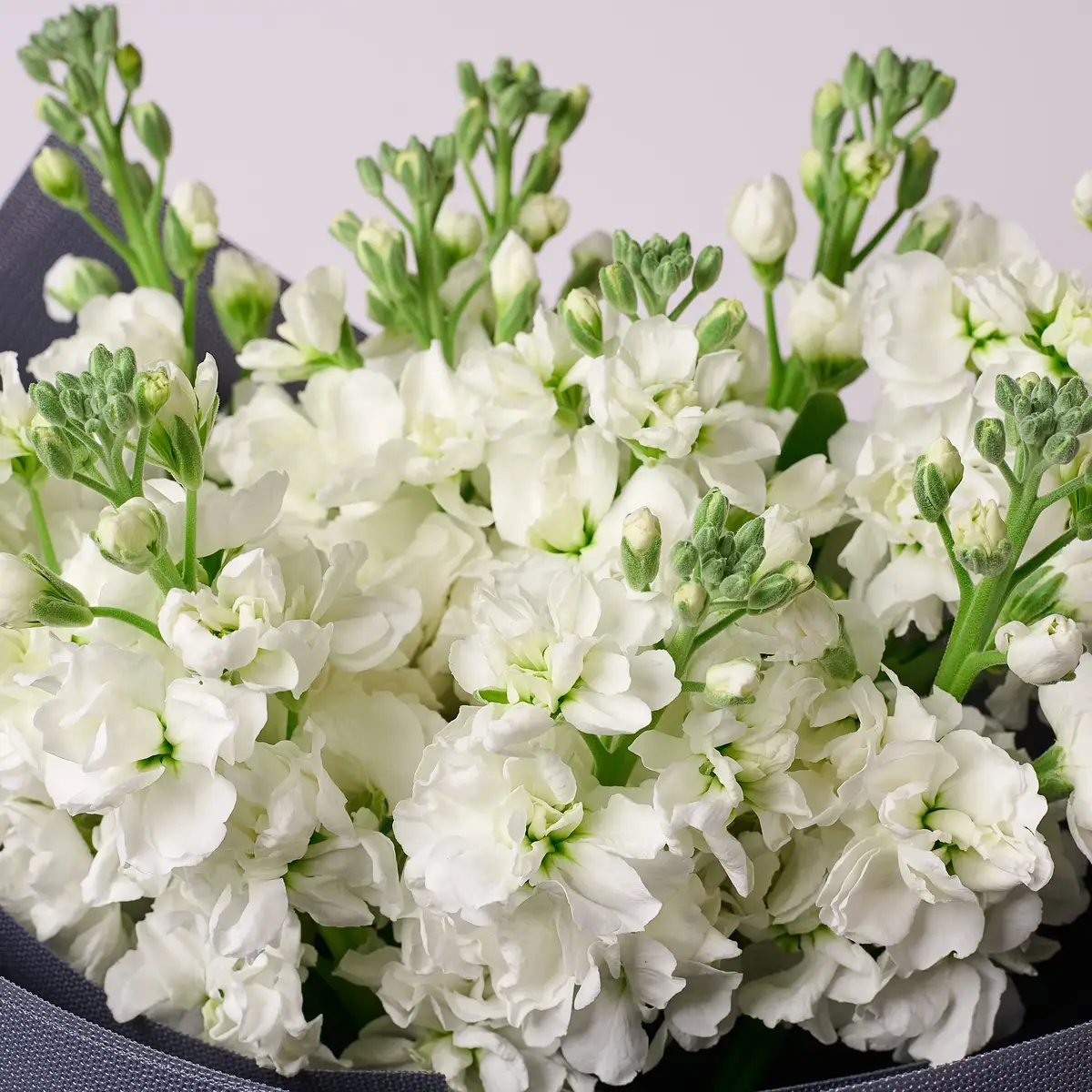 Букет 11 Білих Матіол купити недорого в Україні, фото 3