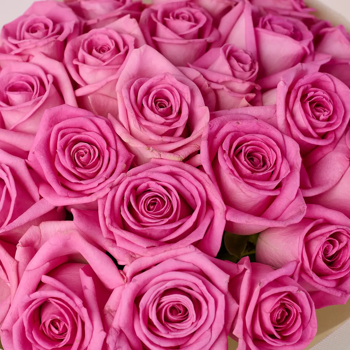 Букет 25 Троянд Аква купити недорого в Україні, фото 3