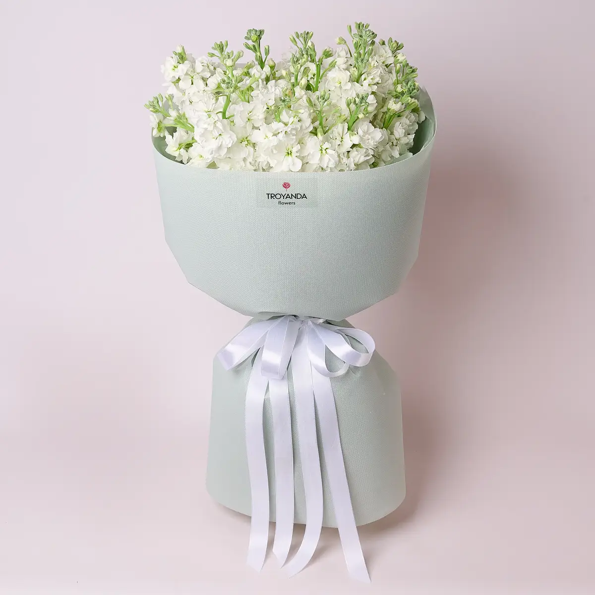 Букет 19 Білих Матіол купити