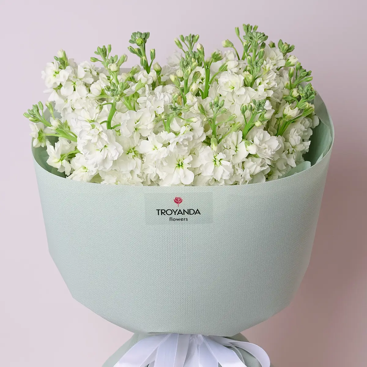 Букет 19 Білих Матіол купити недорого в Україні, фото 2