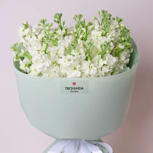 Букет 19 Білих Матіол купити