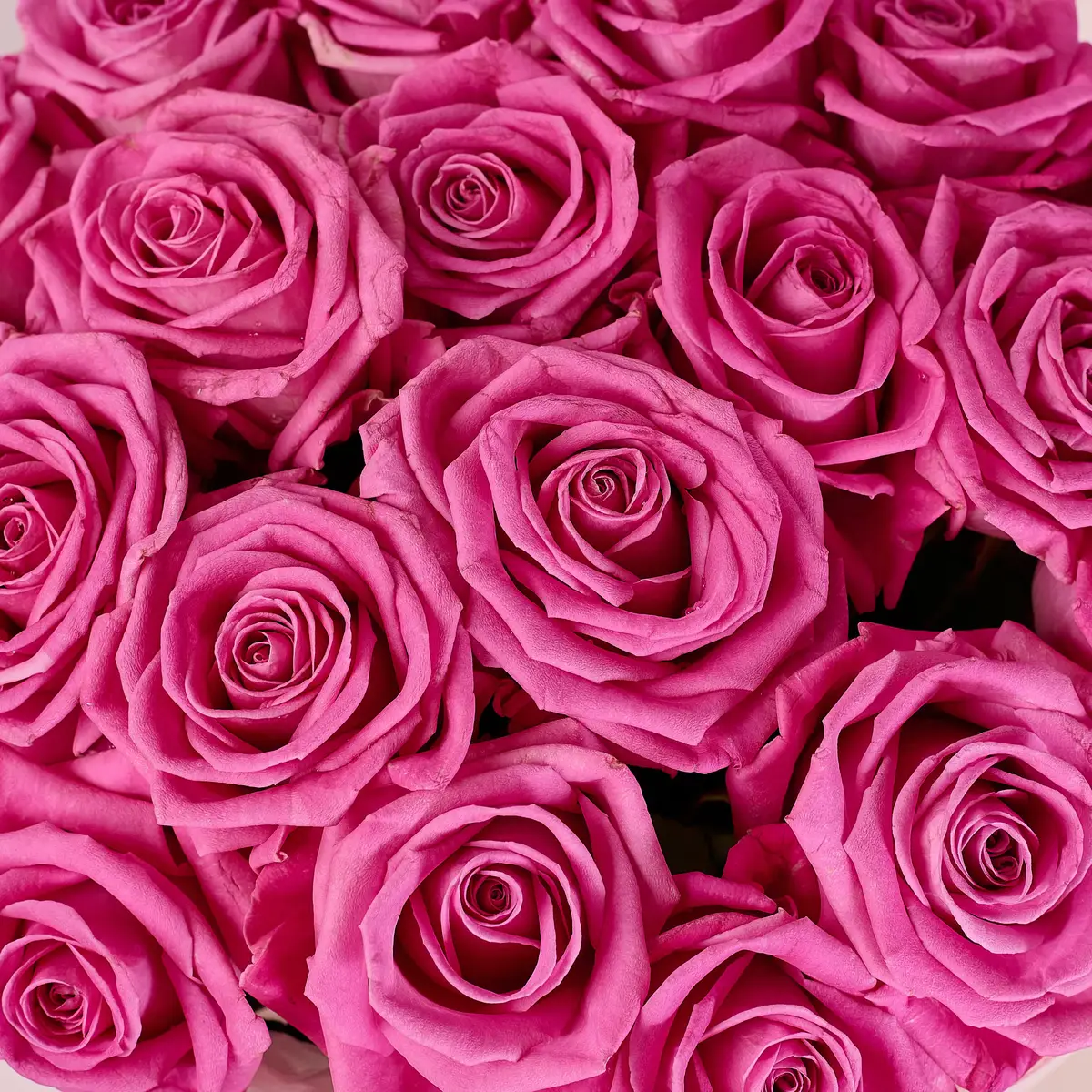 Букет 19 Троянд Аква купити недорого в Україні, фото 3