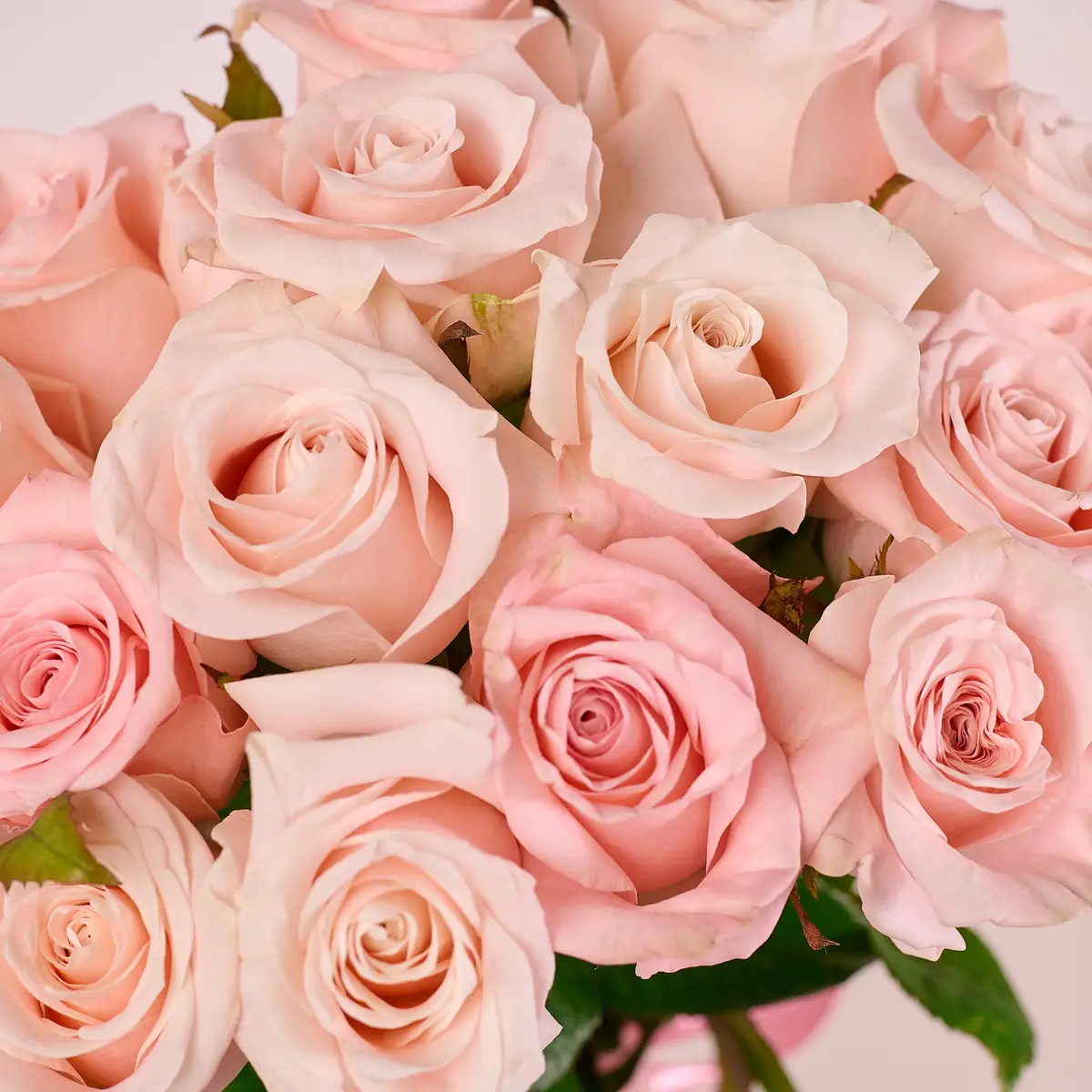 Букет 15 Роз Кимберли купить недорого в Украине, фото 3