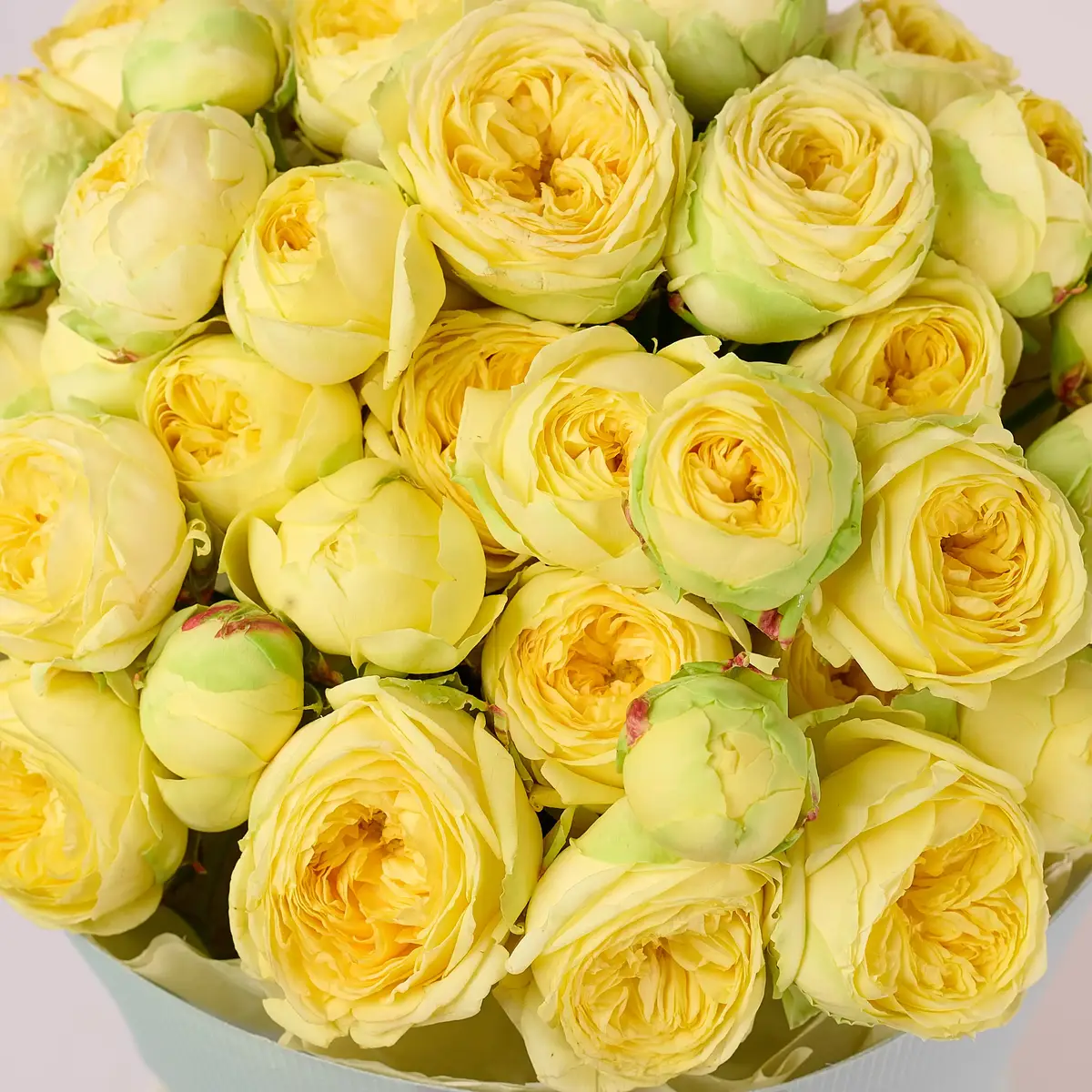 Букет 11 Троянд спрей Піоні Баблз купити недорого в Україні, фото 3