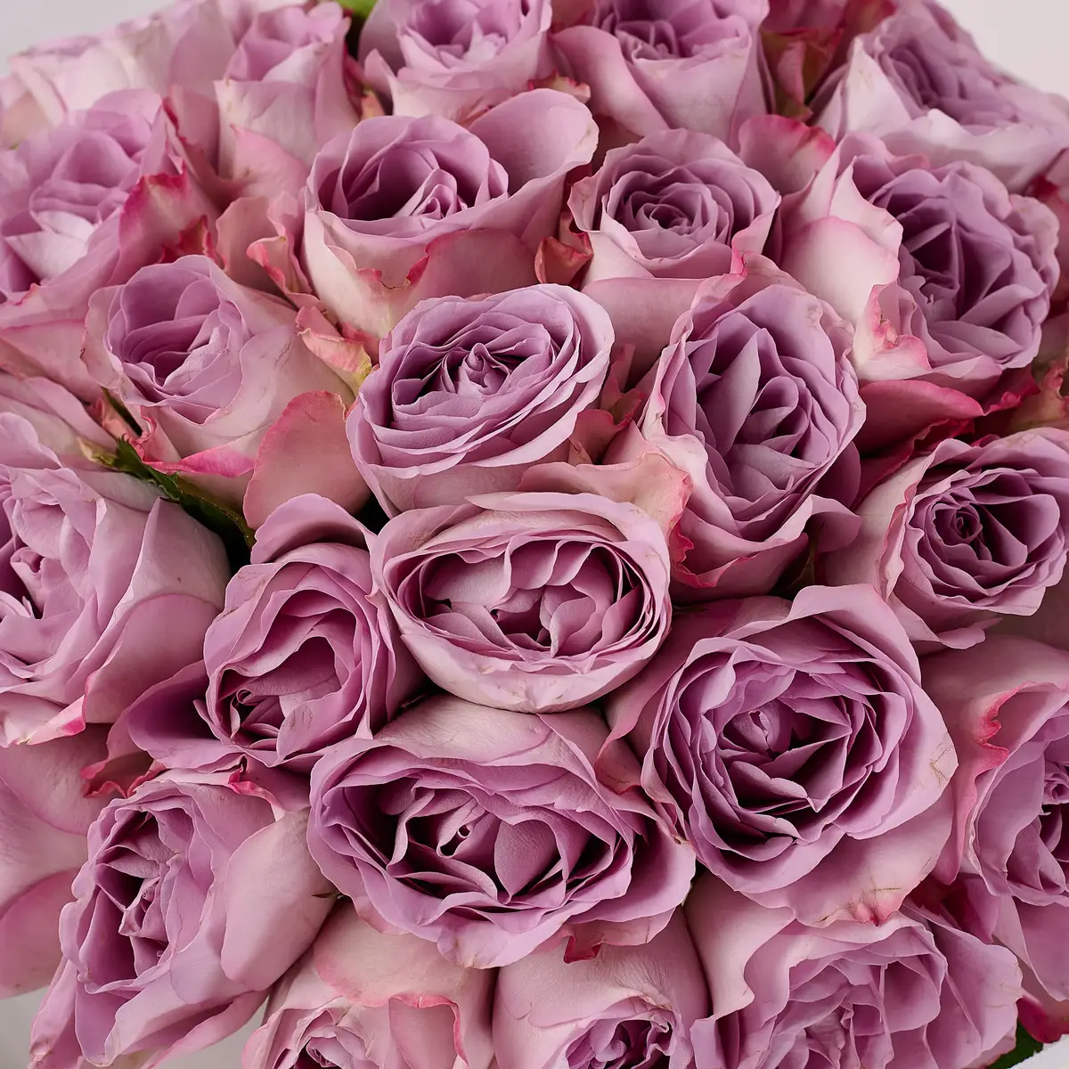 Букет 35 Троянд Меморі Лейн купити недорого в Україні, фото 3