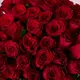 Букет 51 Троянда червона Родос купити