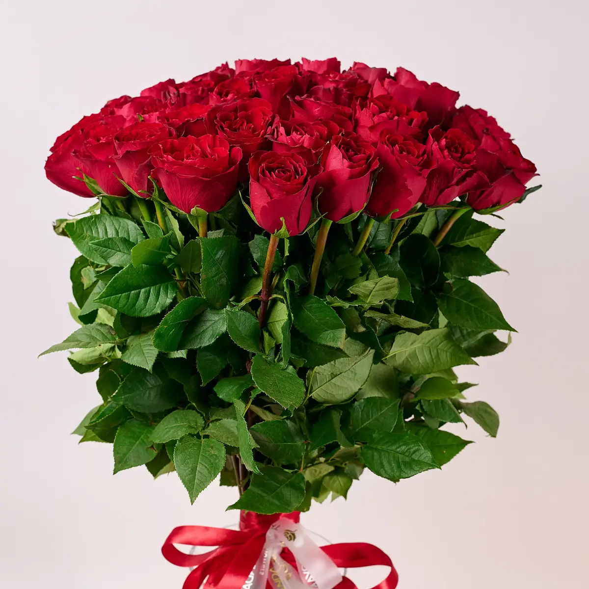 Букет 45 Троянд червоних Мадам Ред купити недорого в Україні, фото 2