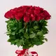 Букет 45 Троянд червоних Мадам Ред купити