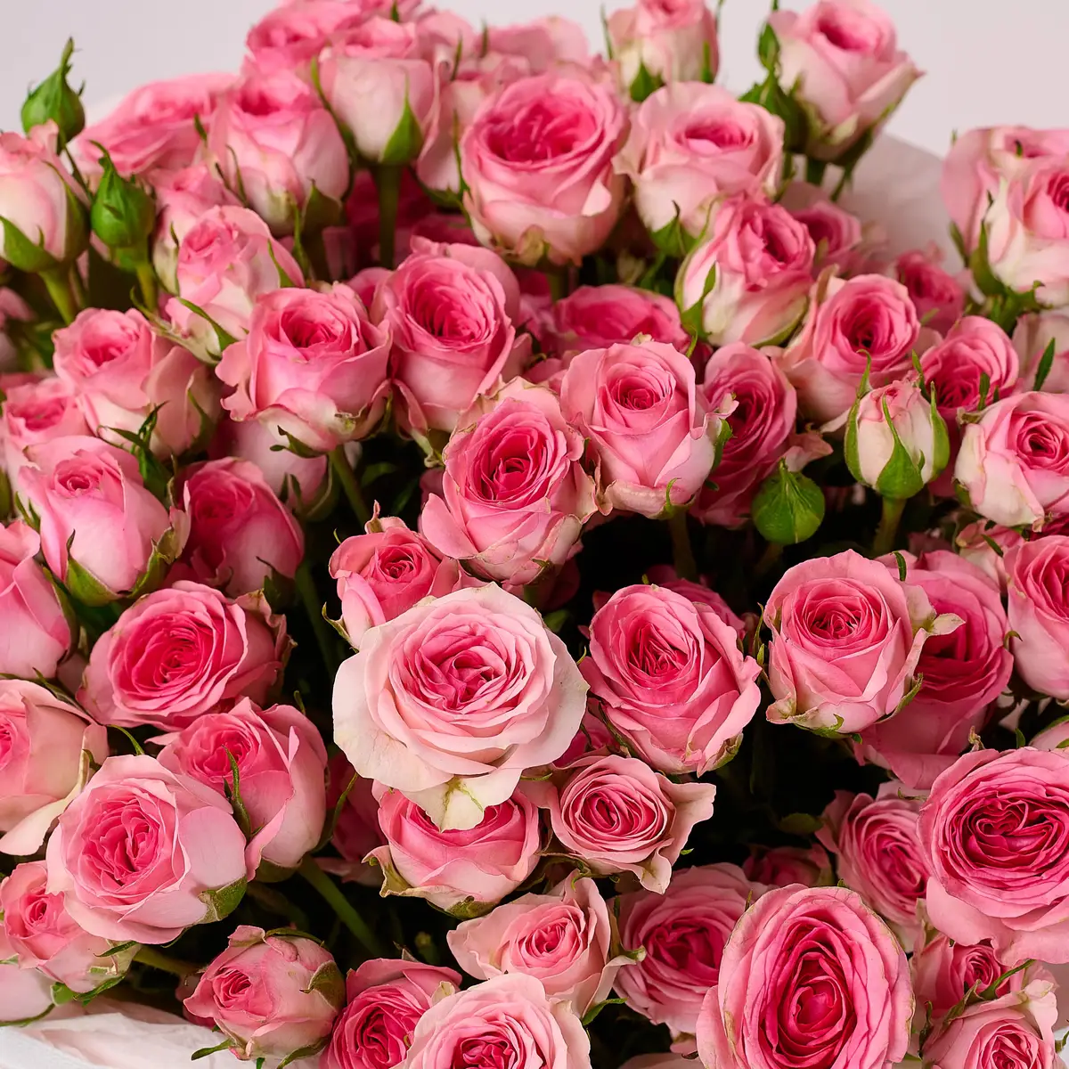 Букет 17 Троянд спрей Тралала купити недорого в Україні, фото 3