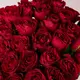 Букет 29 Троянд червоних Мадам Ред купити