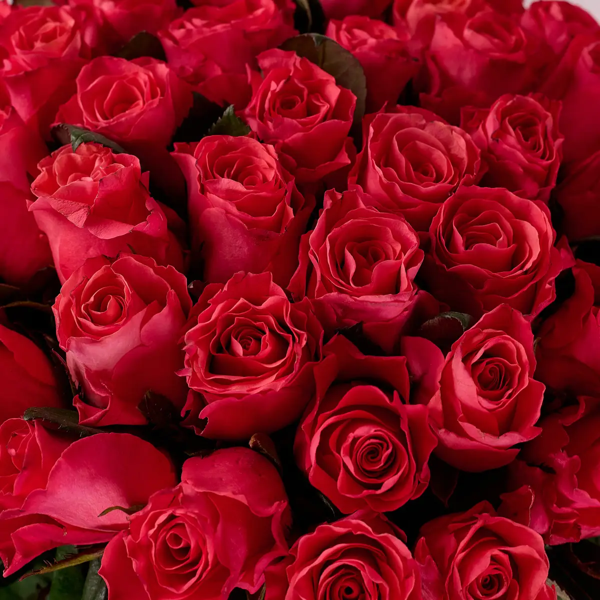 Букет 41 Троянда Пінк Таказі купити недорого в Україні, фото 3