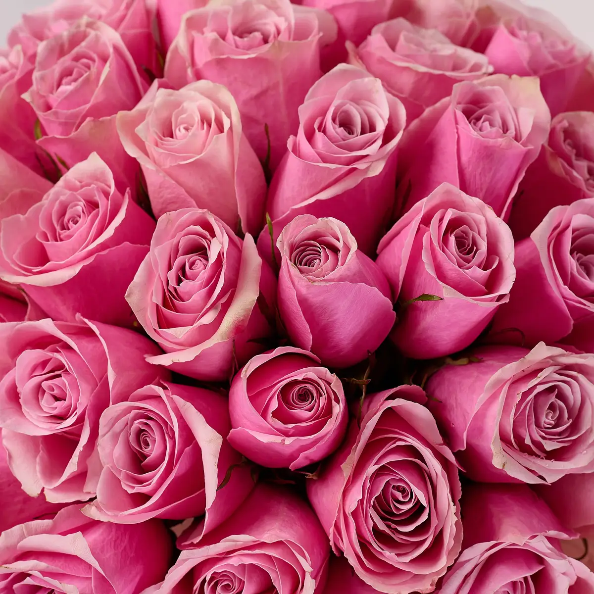 Букет 35 Роз Атена Роял купить недорого в Украине, фото 3