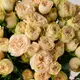 Букет 15 Роз спрей Самерроуз купить