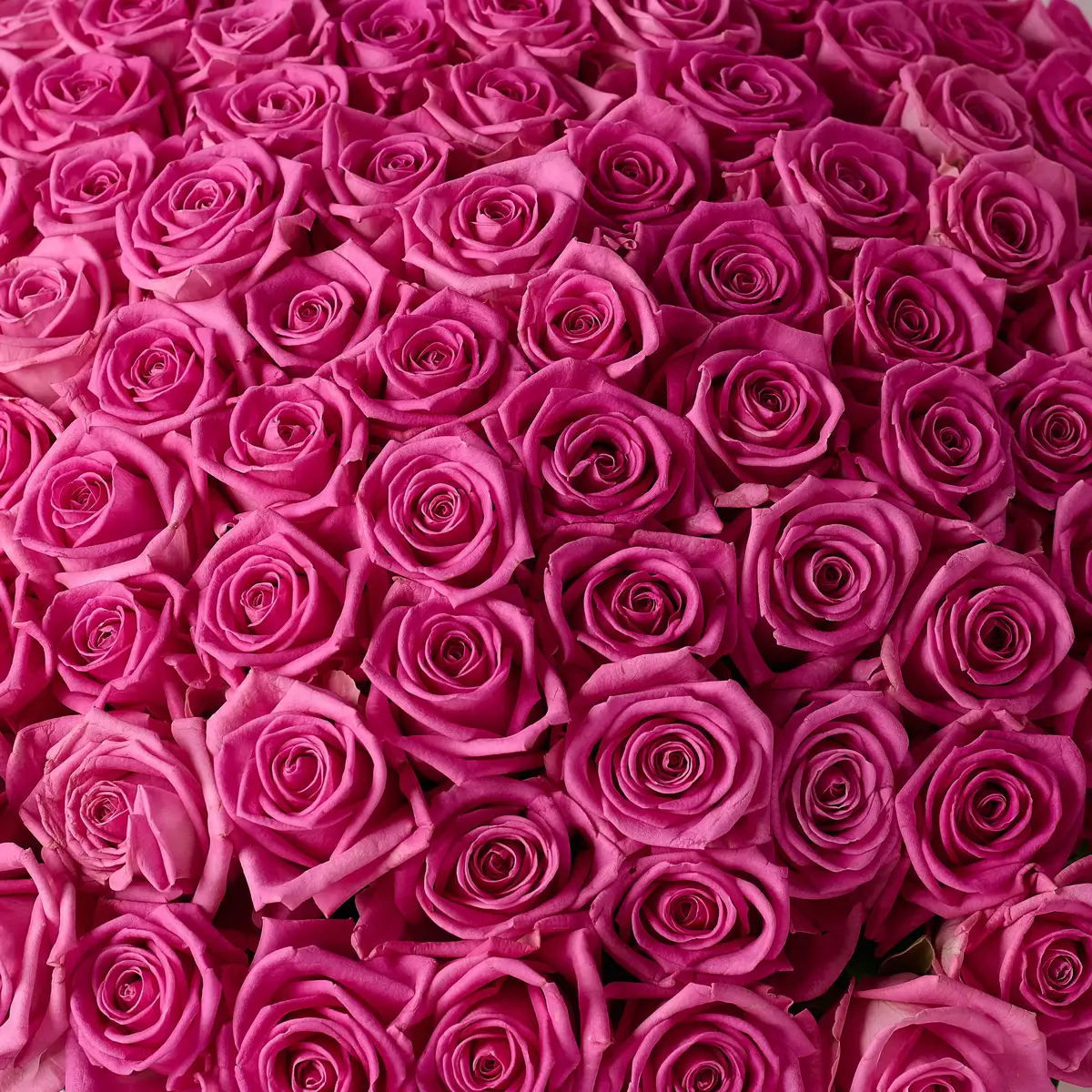 Букет 101 Роза Аква купить недорого в Украине, фото 3