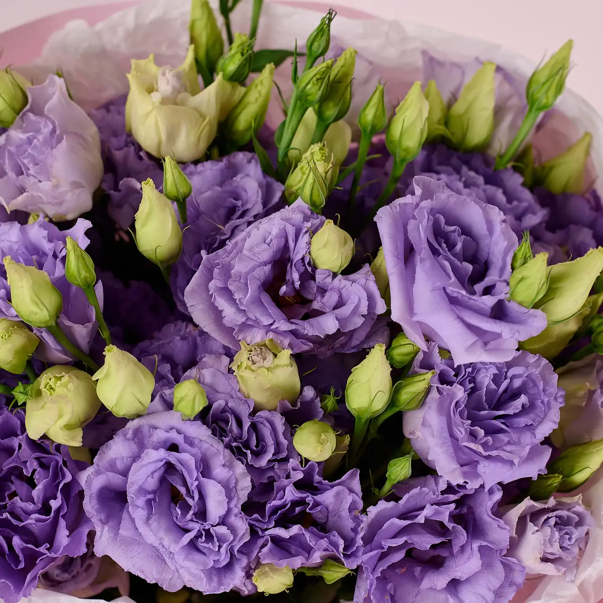 Букет 11 Лавандовый эустом купить недорого в Украине, фото 3