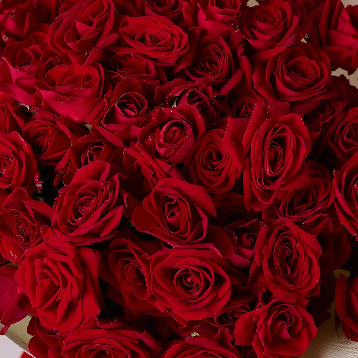 Букет 25 Троянд спрей Домініка купити недорого в Україні, фото 3