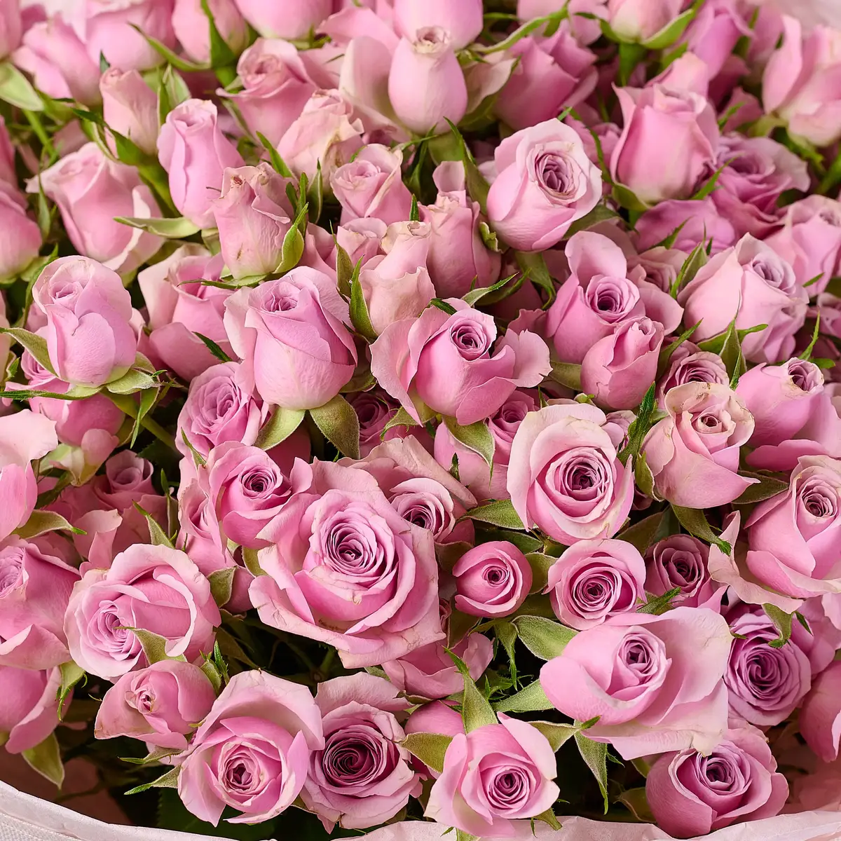 Букет 35 Троянд спрей Лейла купити недорого в Україні, фото 3