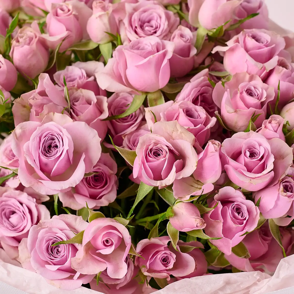 Букет 15 Троянд спрей Лейла купити недорого в Україні, фото 3