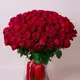 Букет 101 Троянда червона Родос купити