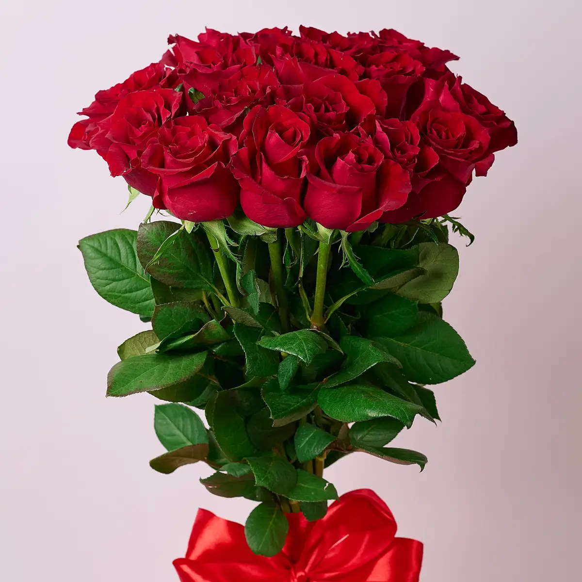 Букет 17 Роз красных Эвер Ред купить недорого в Украине, фото 2
