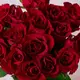 Букет 17 Роз красных Эвер Ред купить