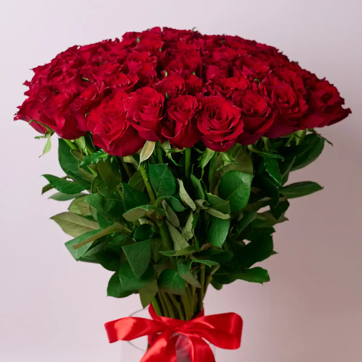 Букет 61 Троянда червона Евер Ред купити недорого в Україні, фото 2