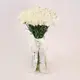 Букет 75 Белых Гвоздик купить недорого в Украине, фото 411