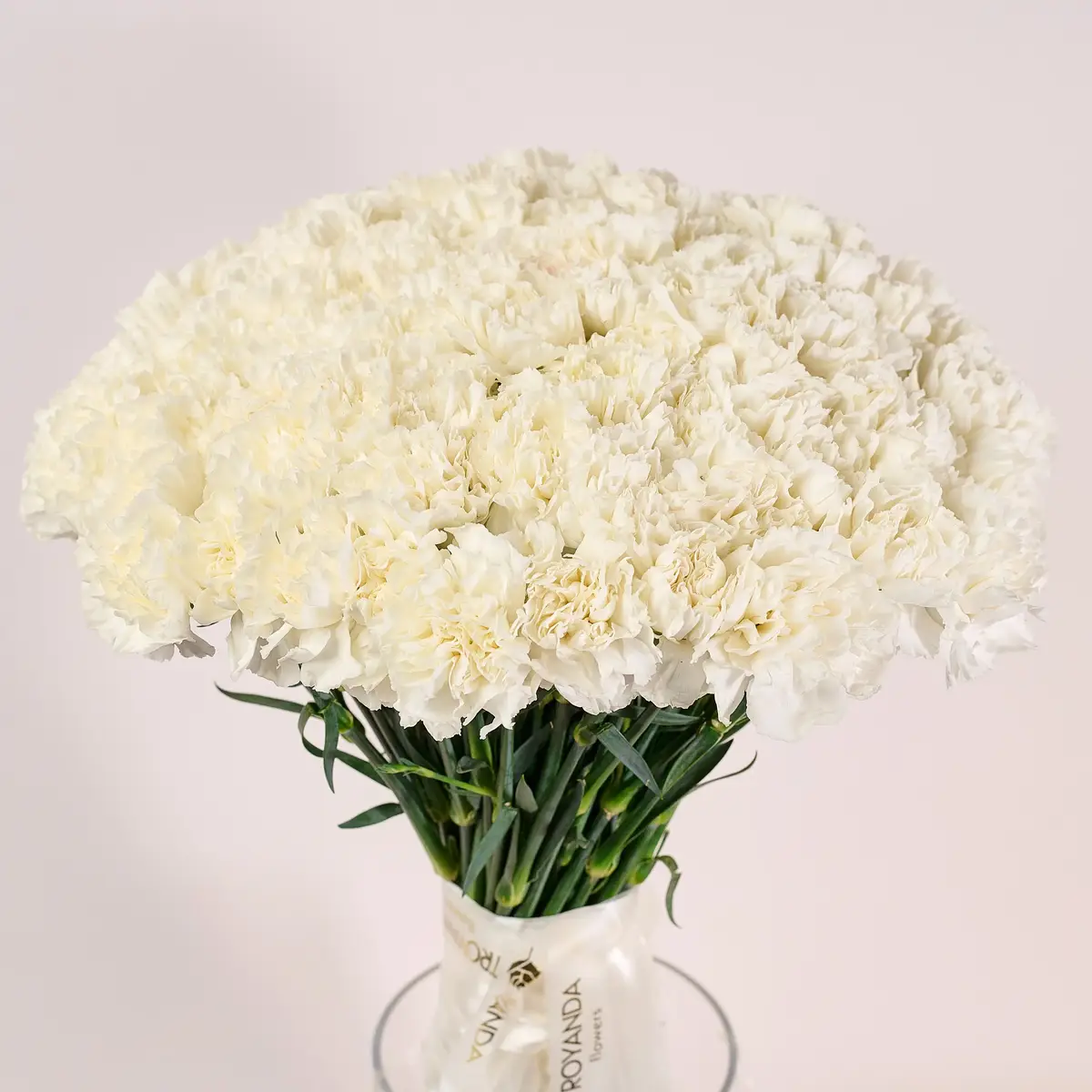 Букет 75 Белых Гвоздик купить недорого в Украине, фото 2