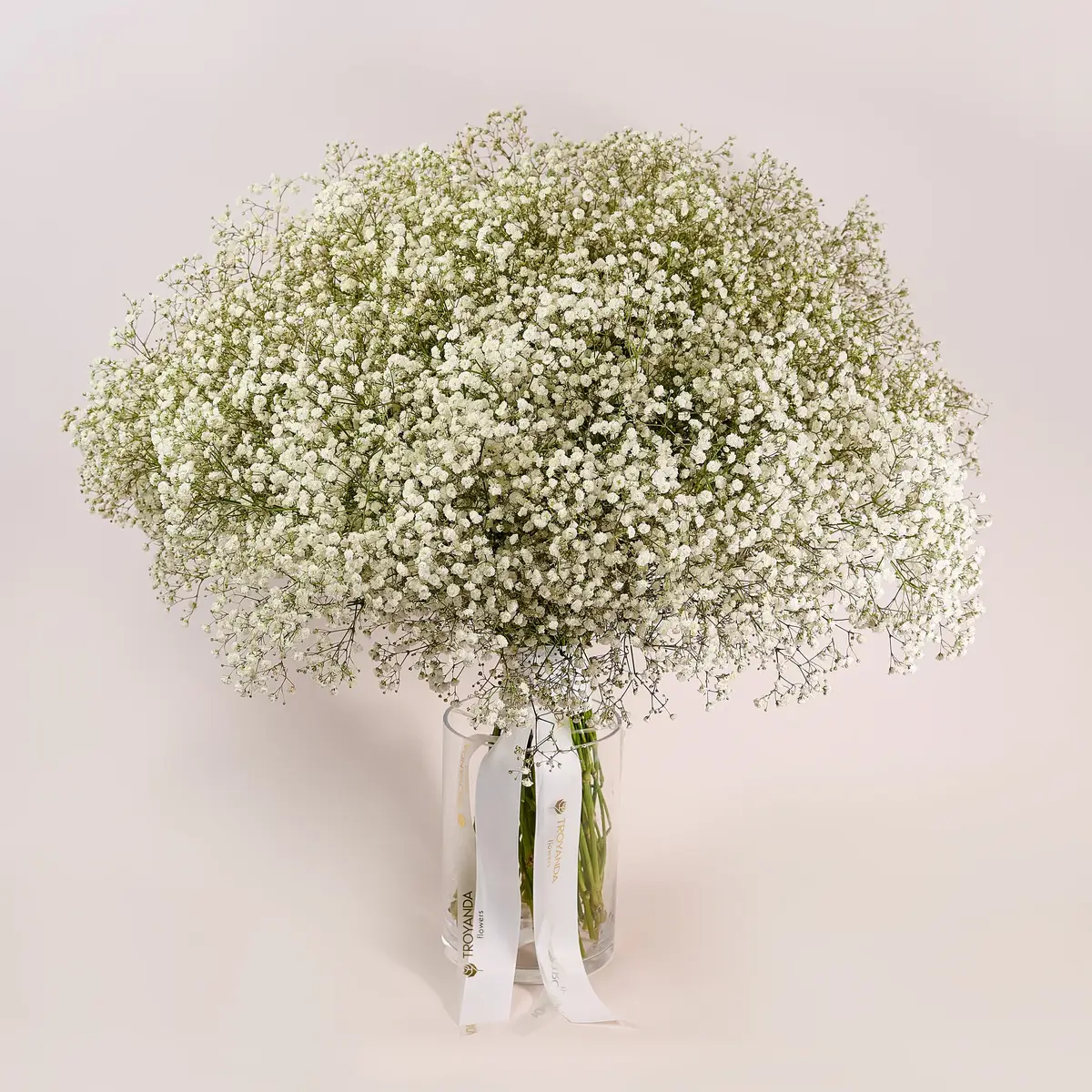 Букет 51 Біла Гіпсофіла купити