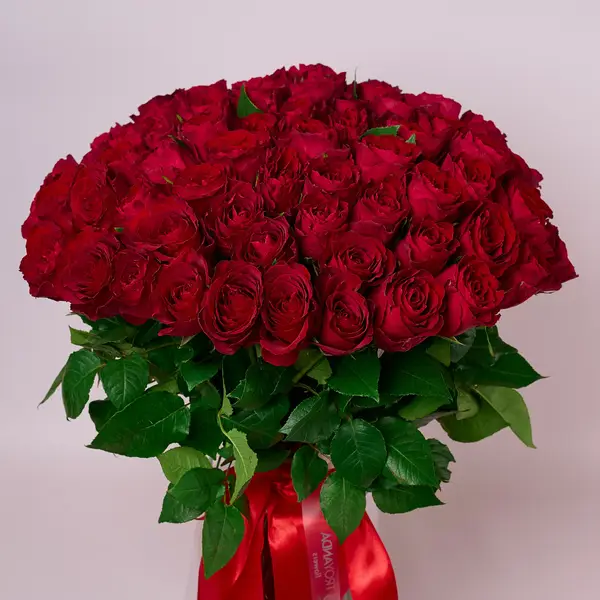 Букет 75 Троянд червоних Мадам Ред купити