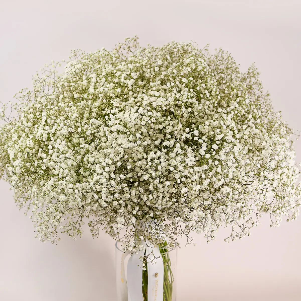 Букет 51 Біла Гіпсофіла купити недорого в Україні, фото 2