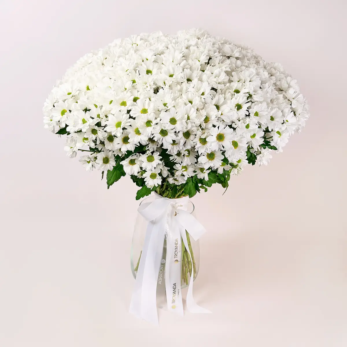 Букет 51 Біла Хризантема Ромашка купити
