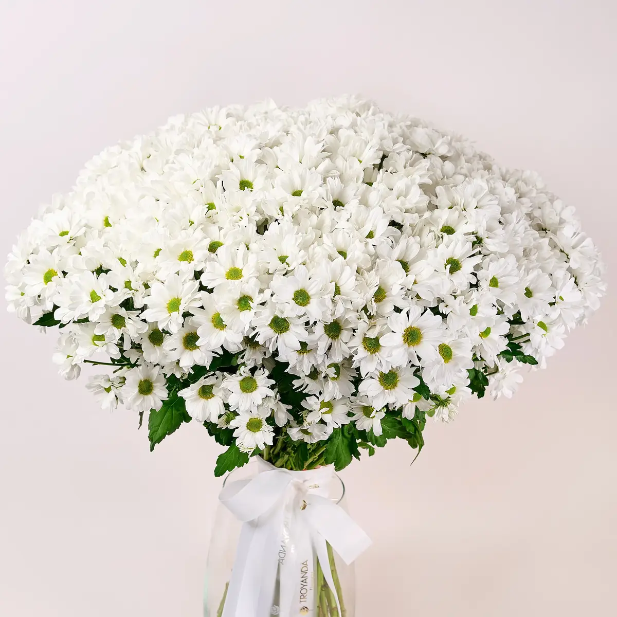 Букет 51 Біла Хризантема Ромашка купити недорого в Україні, фото 2