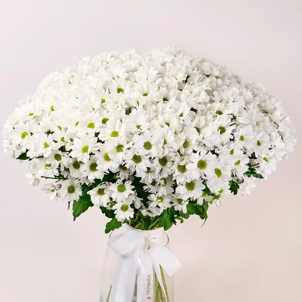 Букет 51 Біла Хризантема Ромашка купити