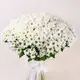 Букет 51 Біла Хризантема Ромашка купити