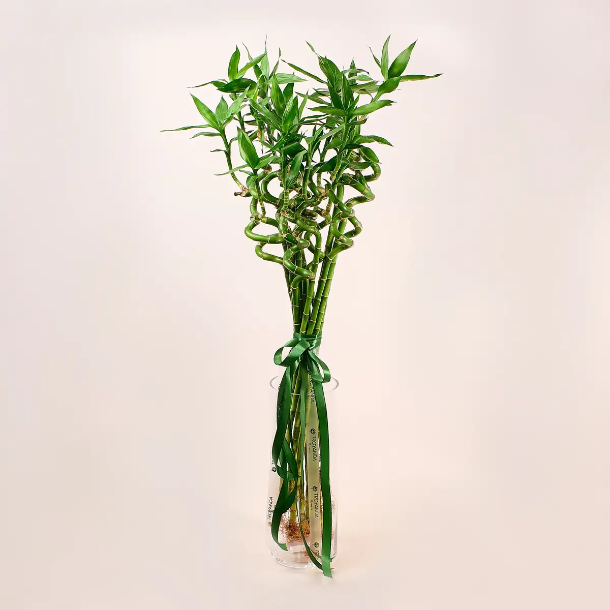 Букет 15 Гілок Бамбуку купити