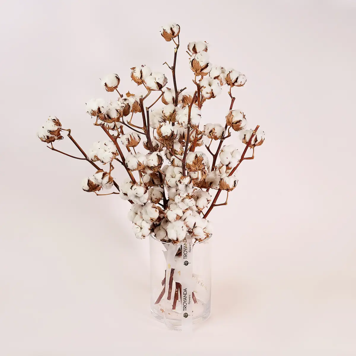 Букет 11 Ветвей Хлопка купить