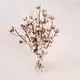 Букет 11 Ветвей Хлопка купить недорого в Украине, фото 415