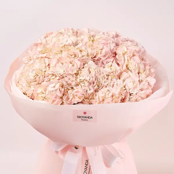 Букет 11 Рожевих Гортензій купити