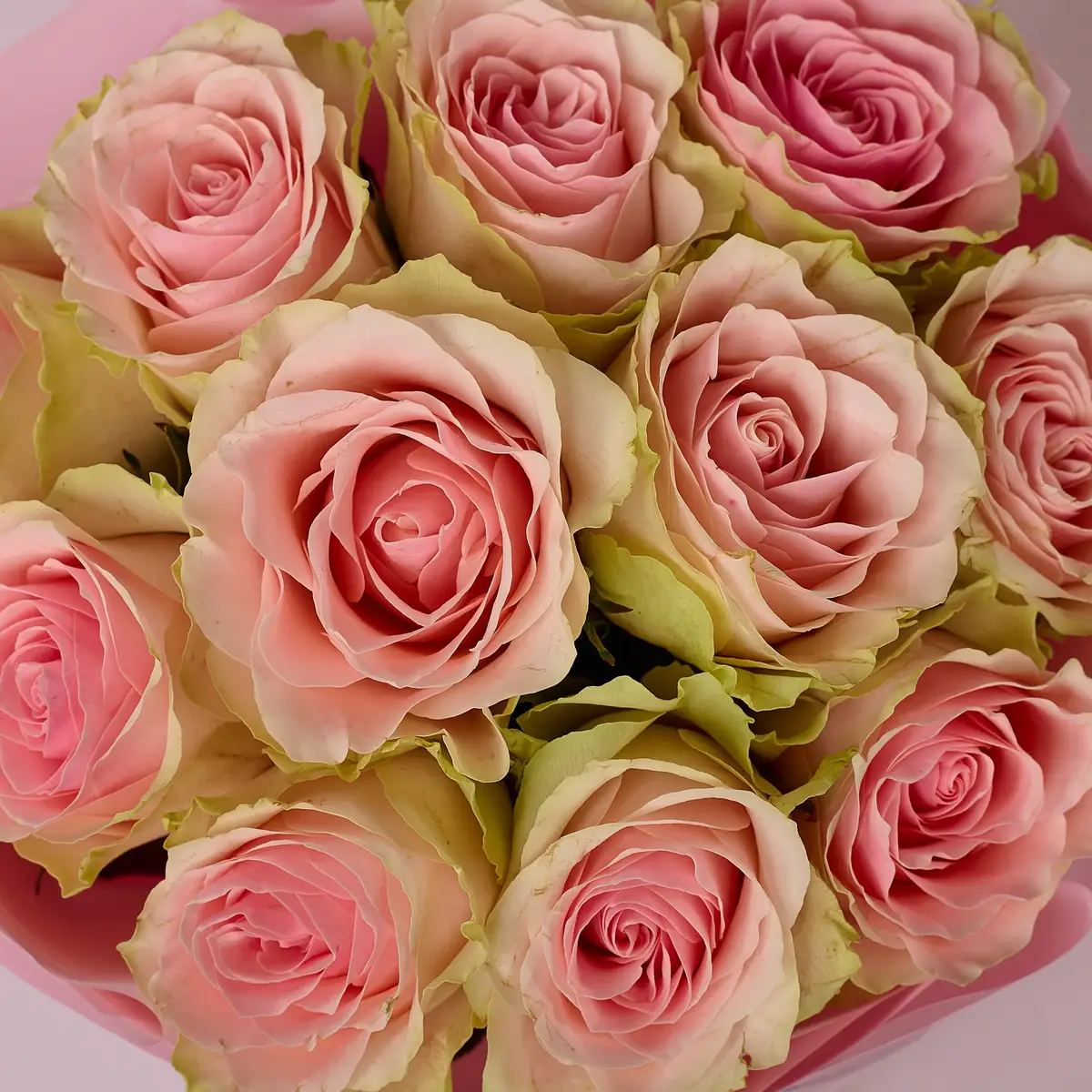 Букет 11 Роз Фрутетто купить недорого в Украине, фото 3