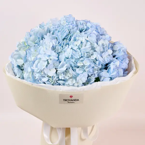 Букет 9 Голубых Гортензий купить