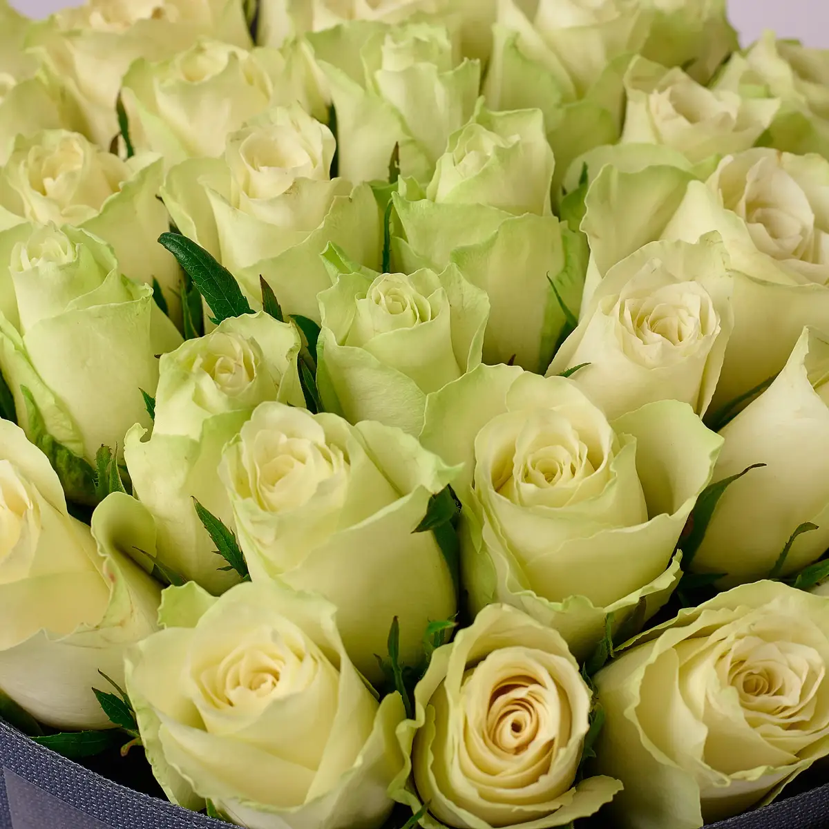 Букет 19 Троянд Атена купити недорого в Україні, фото 3