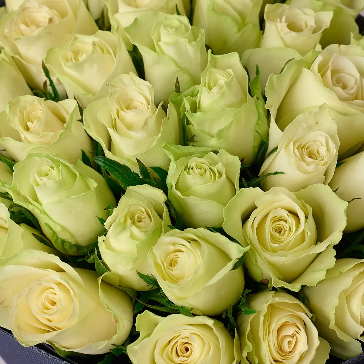 Букет 35 Троянд Атена купити недорого в Україні, фото 3