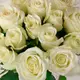 Букет 15 Роз белых Альпе Де Хуэз купить